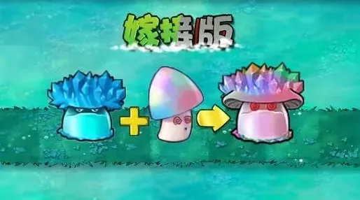 《植物大战僵尸》嫁接版新植物魅惑寒冰菇介绍