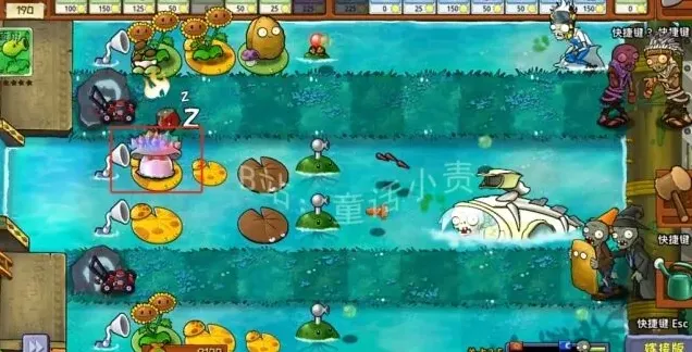 植物大战僵尸嫁接