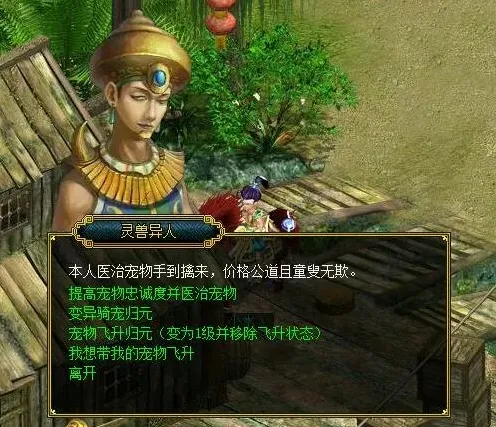 问道玩家