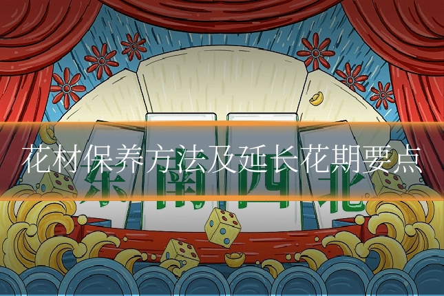 花材保养方法及延长花期要点