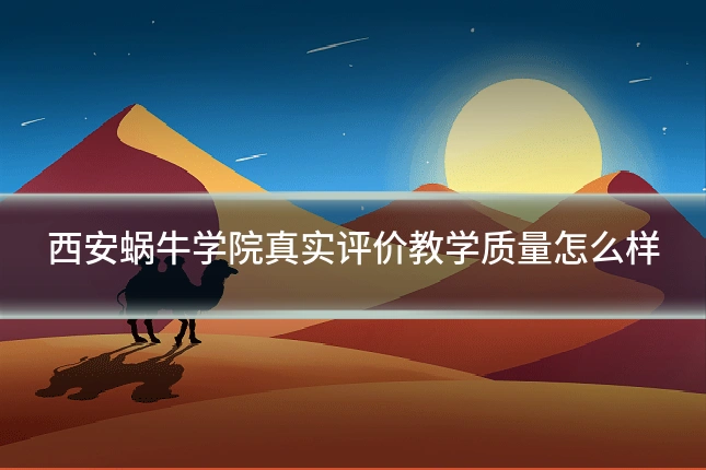 西安蜗牛学院真实评价教学质量怎么样