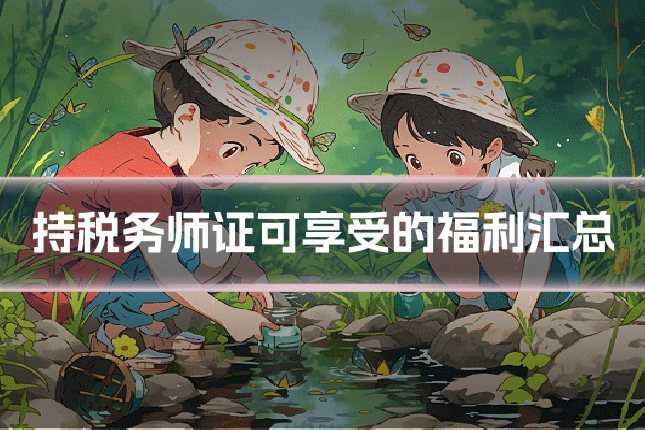 持税务师证可享受的福利汇总