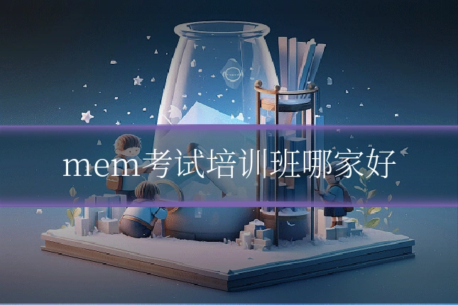 mem考试培训班哪家好
