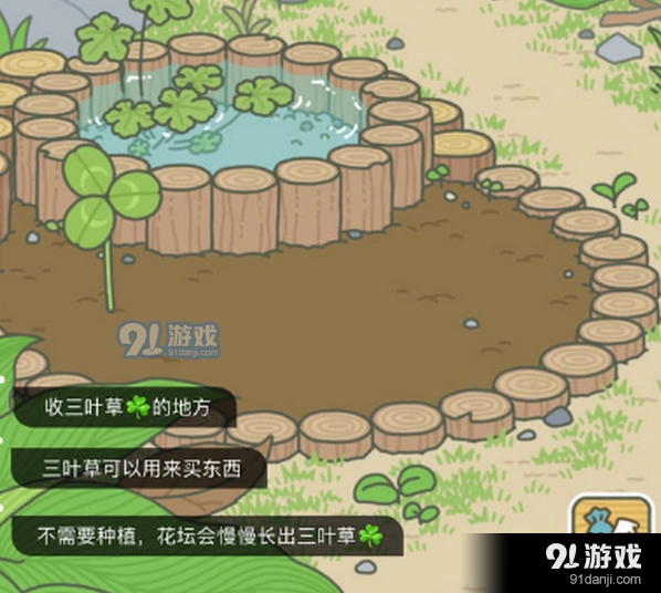 旅行青蛙三叶草上限是多少？快速刷三叶草技巧