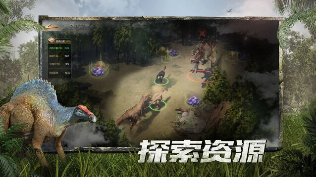 飞龙出战