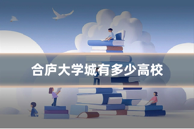 合庐大学城有多少高校