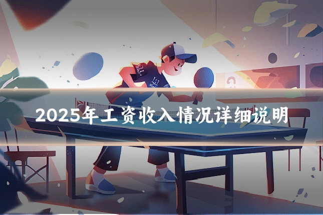2025年工资收入情况详细说明