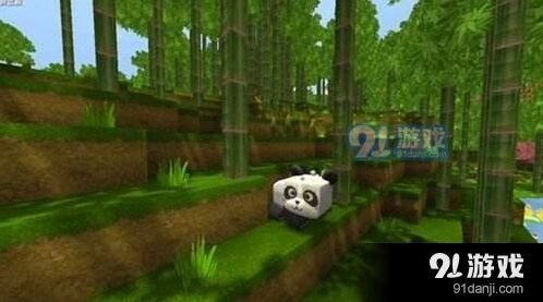 迷你世界熊猫能不能生宝宝攻略