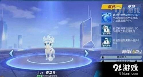 QQ飞车手游宠物玉面狐和白龙马有什么区别 优劣对比