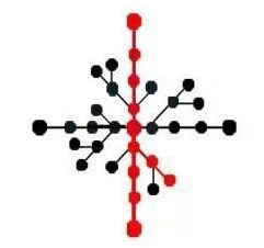 第五人格新版小丑天赋加点攻略详解