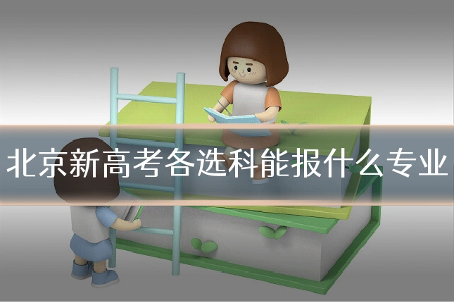 北京新高考各选科能报什么专业