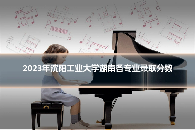2023年沈阳工业大学湖南各专业录取分数