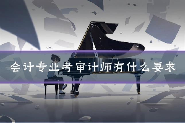 会计专业考审计师有什么要求