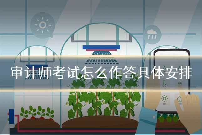 审计师考试怎么作答具体安排