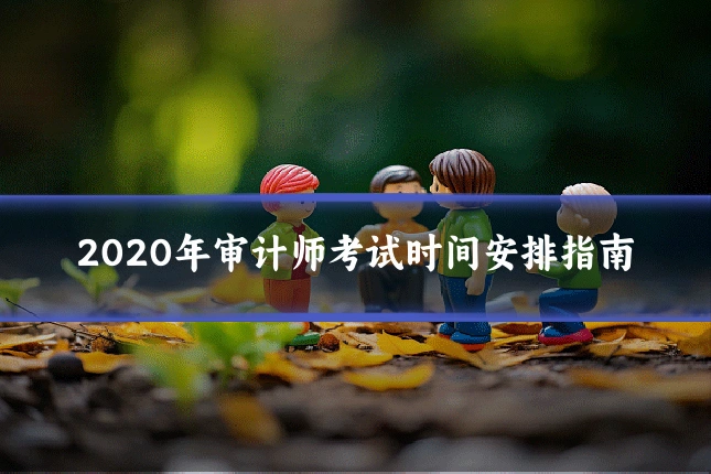 2020年审计师考试时间安排指南