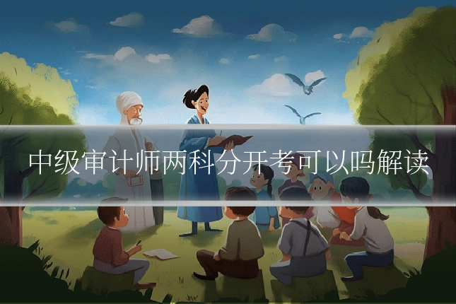 中级审计师两科分开考可以吗解读