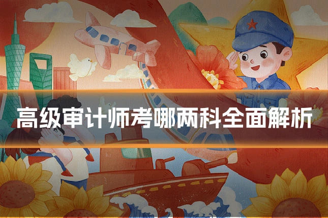 高级审计师考哪两科全面解析