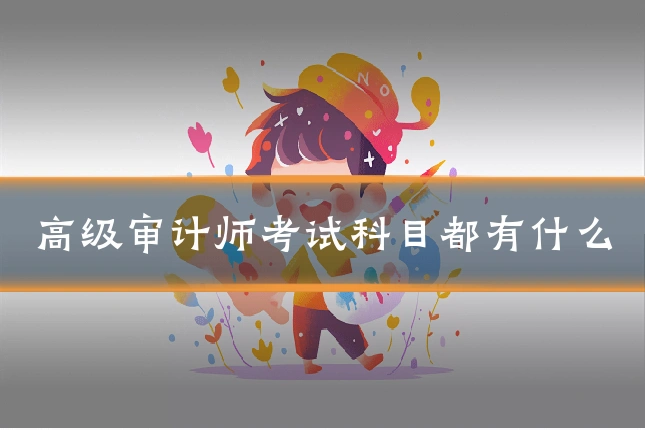 高级审计师考试科目都有什么
