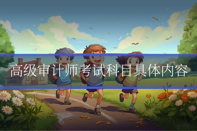 高级审计师考试科目具体内容