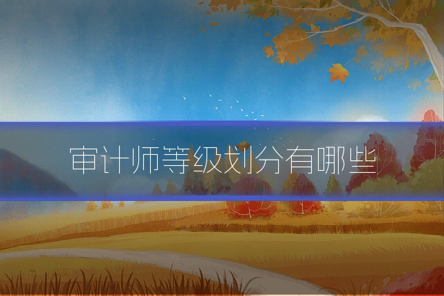 审计师等级划分有哪些