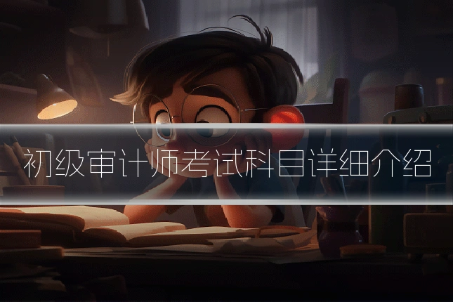 初级审计师考试科目详细介绍