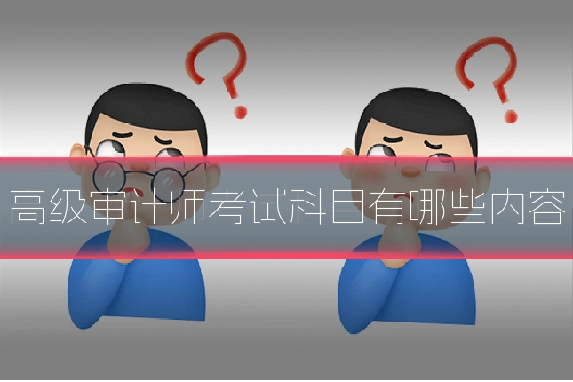 高级审计师考试科目有哪些内容