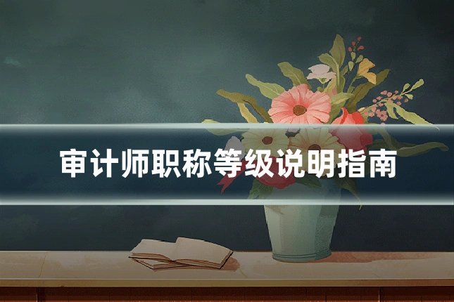 审计师职称等级说明指南
