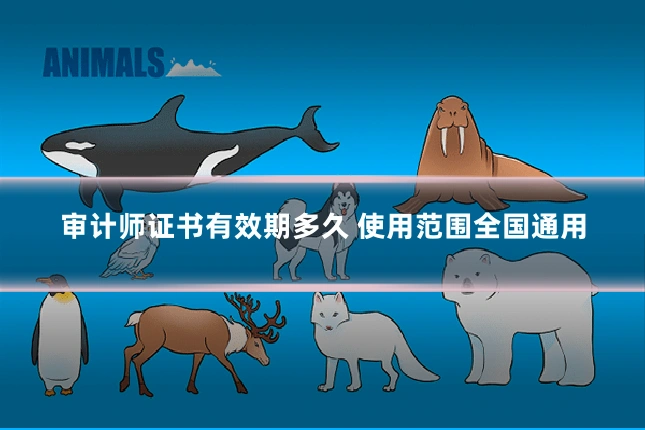 审计师证书有效期多久 使用范围全国通用