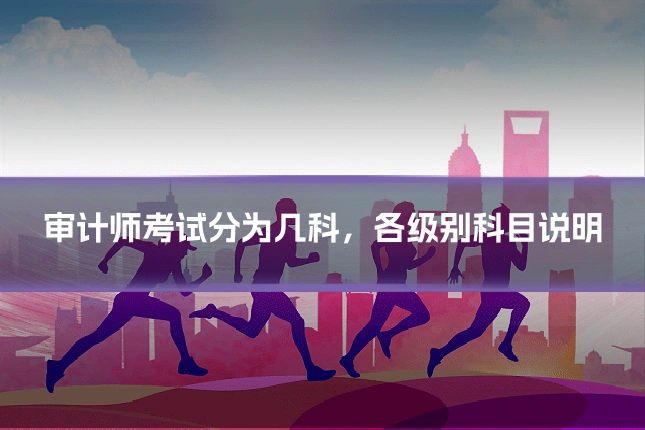 审计师考试分为几科,各级别科目说明