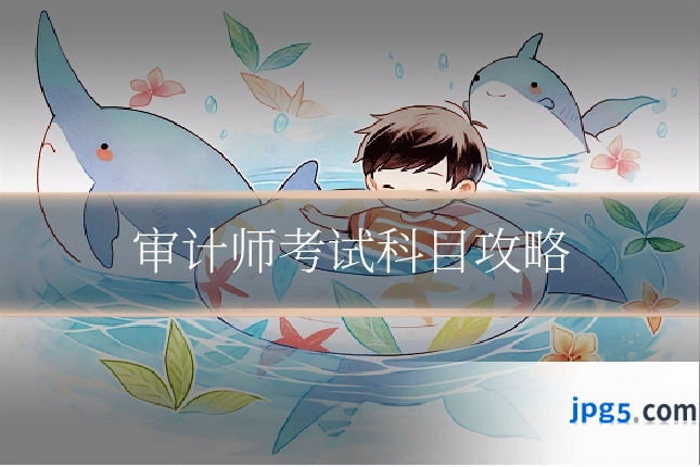 审计师考试科目攻略