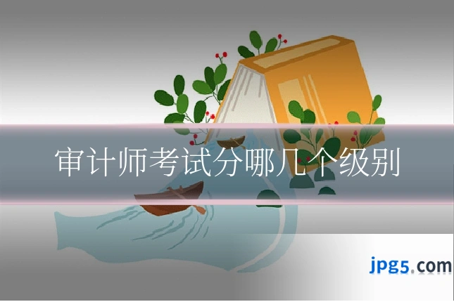 审计师考试分哪几个级别