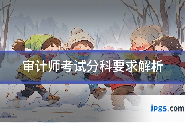 审计师考试分科要求解析