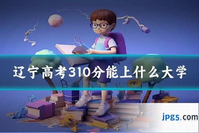 辽宁高考310分能上什么大学