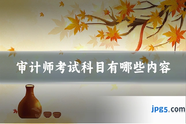 审计师考试科目有哪些内容