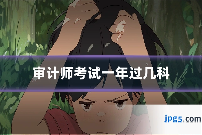 审计师考试一年过几科