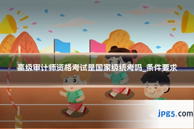 高级审计师资格考试是国家级统考吗_条件要求