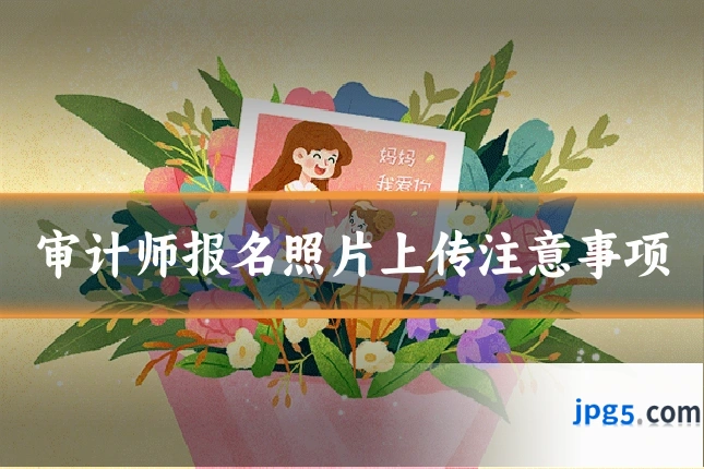 审计师报名照片上传注意事项