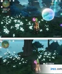原神水天丛林解密方法完整攻略
