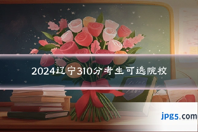 2024辽宁310分考生可选院校