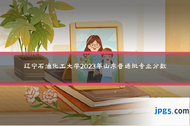 辽宁石油化工大学2023年山东普通批专业分数