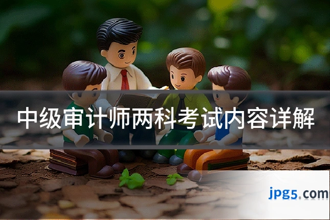 中级审计师两科考试内容详解