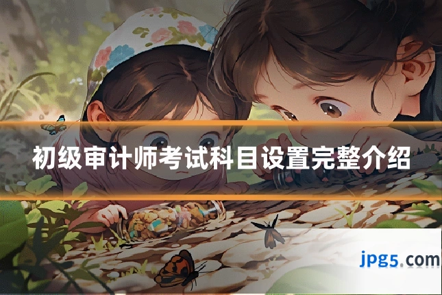 初级审计师考试科目设置完整介绍
