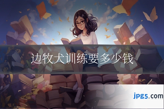边牧犬训练要多少钱