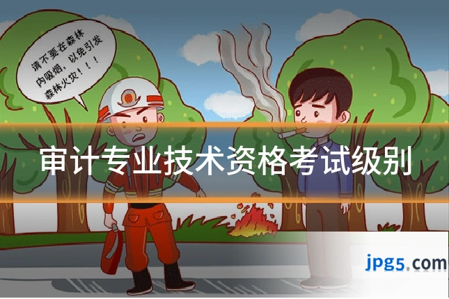 审计专业技术资格考试级别