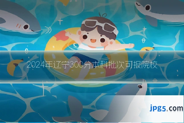 2024年辽宁300分本科批次可报院校