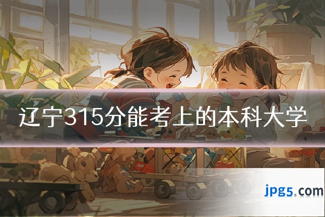 辽宁315分能考上的本科大学