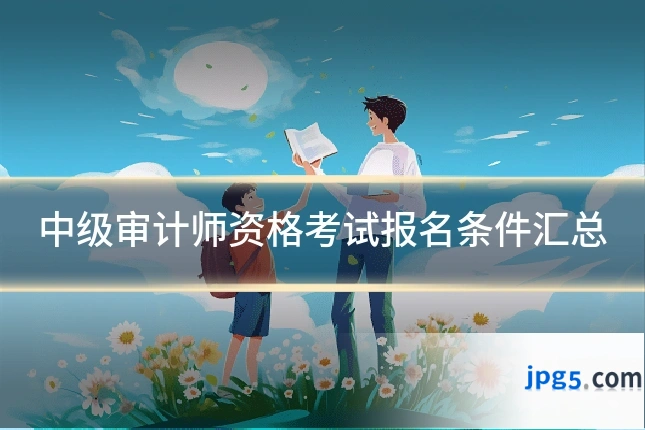 中级审计师资格考试报名条件汇总