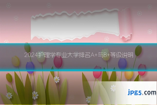 2024护理学专业大学排名A+与B+等级说明