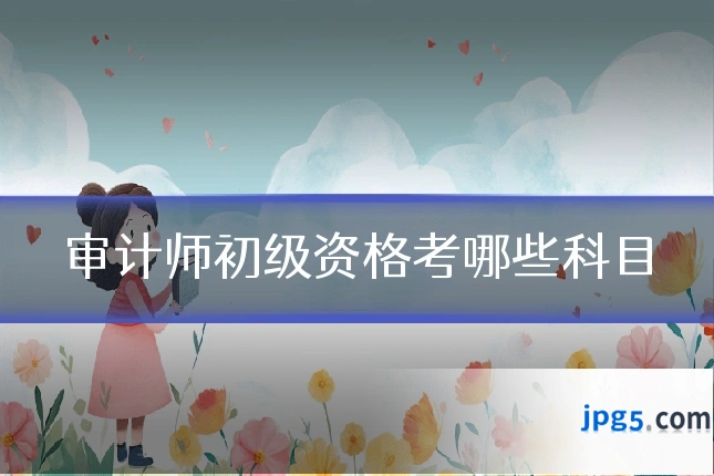 审计师初级资格考哪些科目