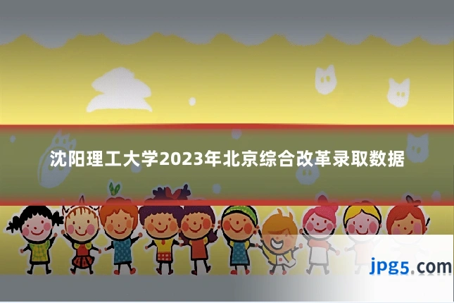 沈阳理工大学2023年北京综合改革录取数据